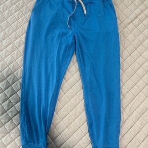 Vouri women’s Blue Jogger Pants